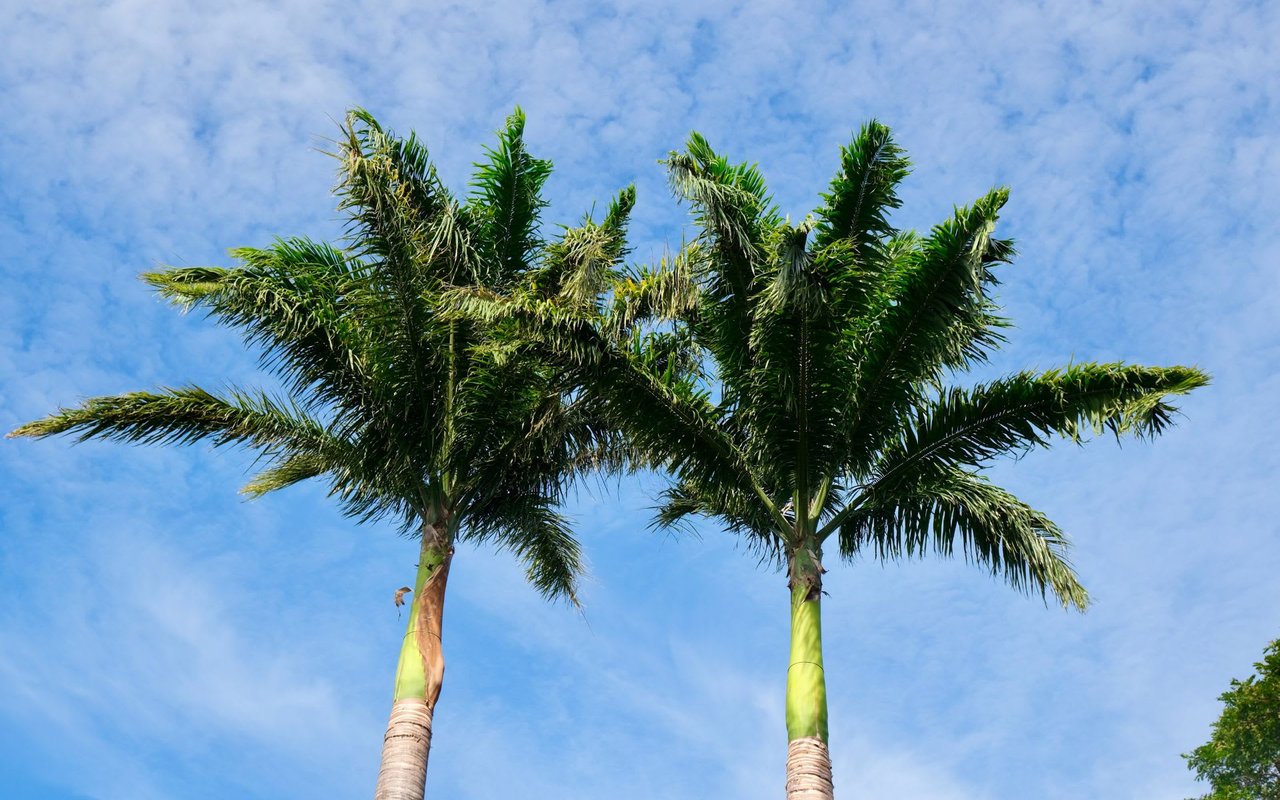 Custom Kaanapali Golf Estates Home Sells for $3.59M