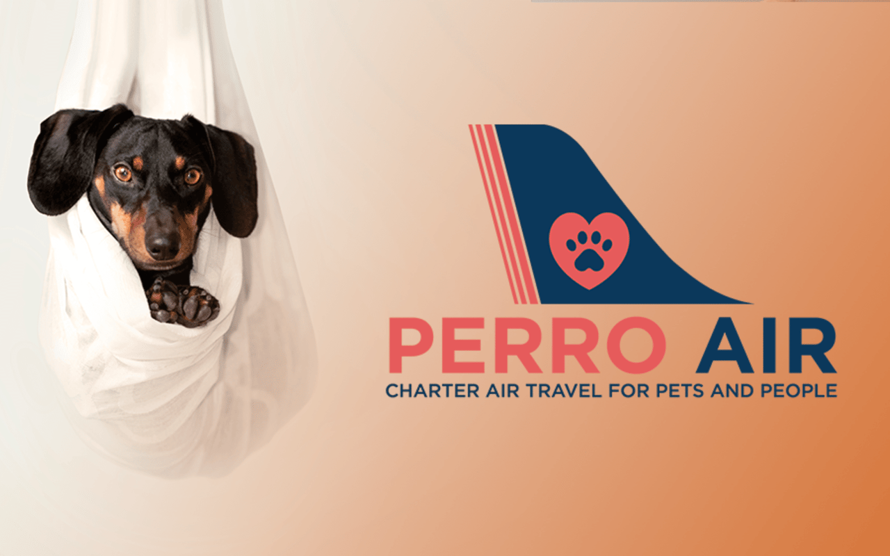 How to Fly Your Pet to Costa Rica