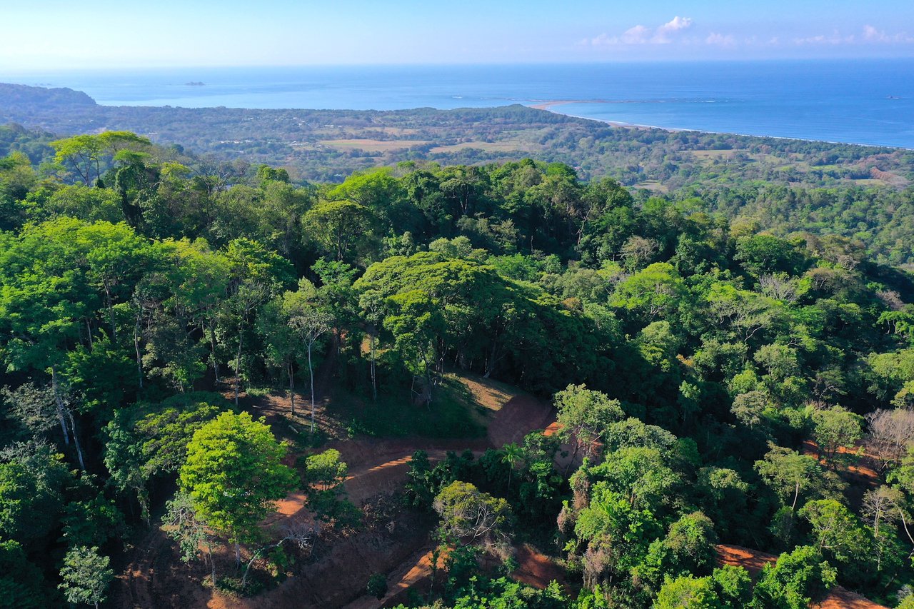 Whale Tail View Development Parcel, Uvita, Puntarenas