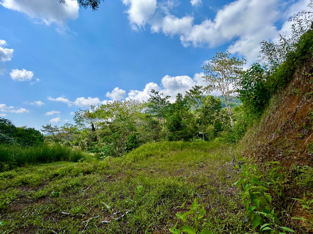 Beautiful Lot in Phase 9 Ojochal, Gated Communuity 
