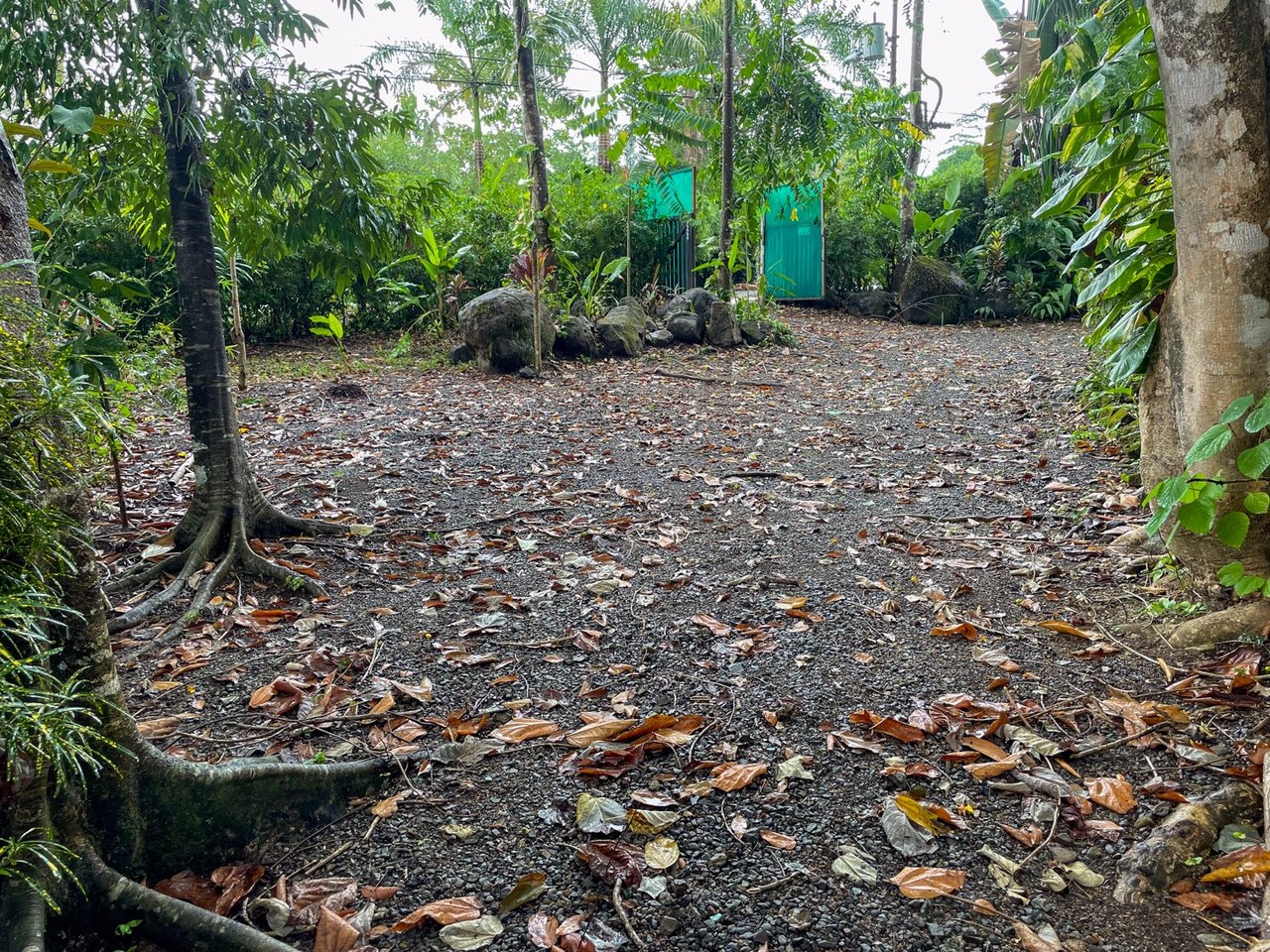 Cozy Colonial Home with Lush Gardens and Prime Commercial Prospects