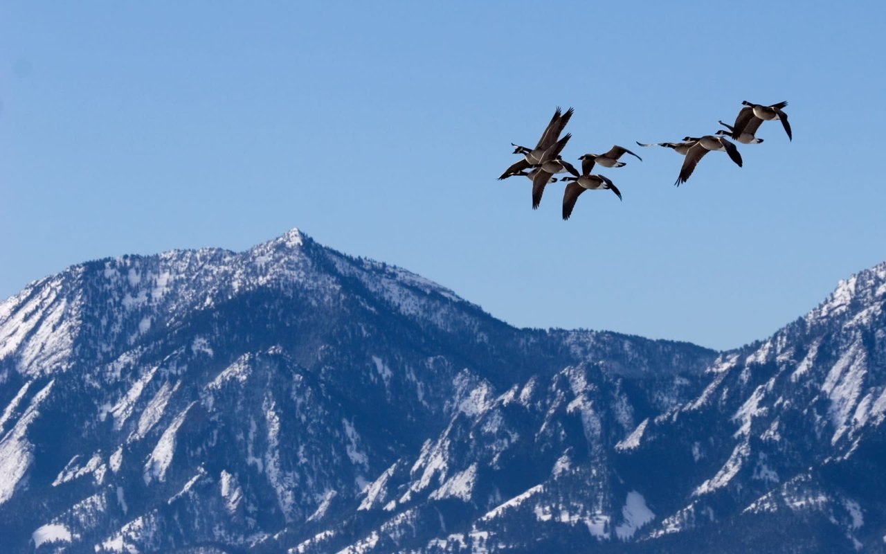 East Boulder & Gunbarrel