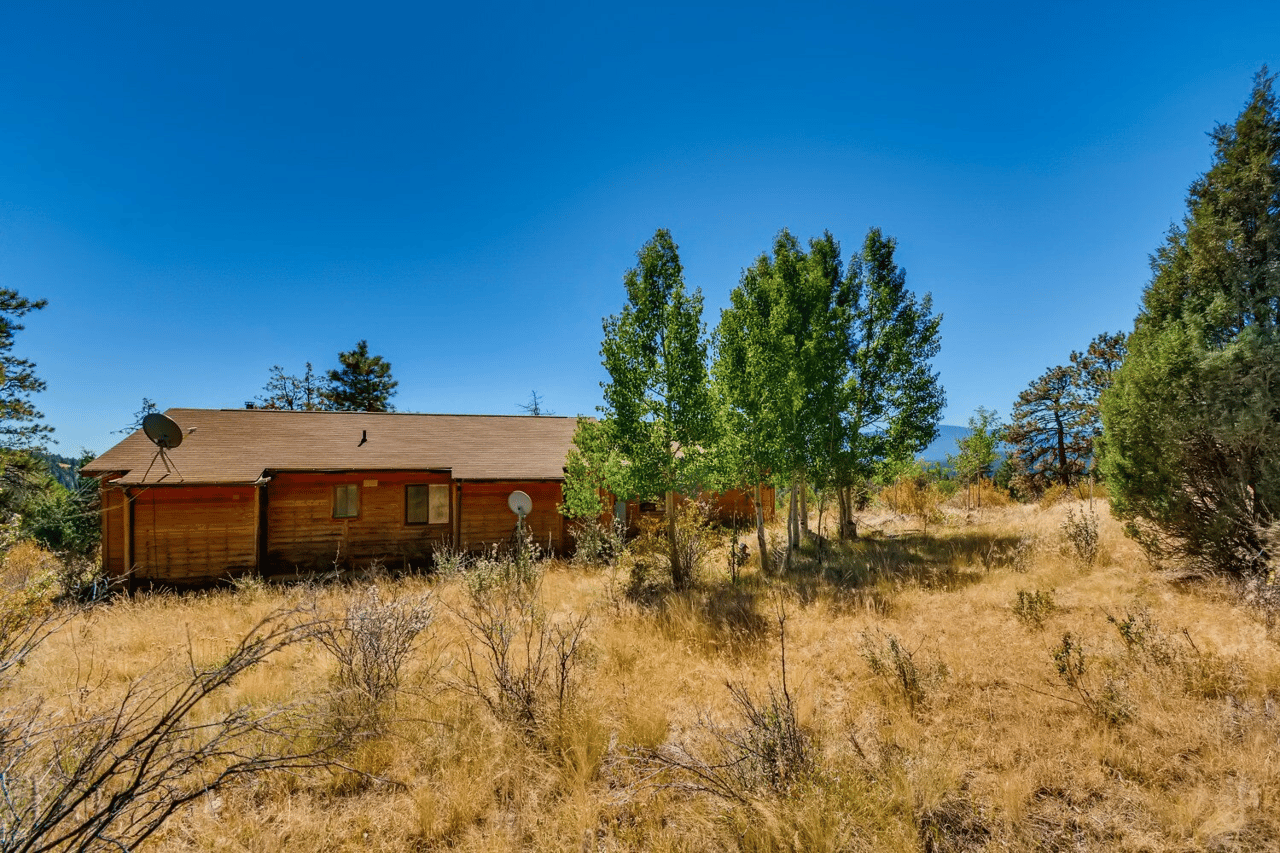 Just Listed: Updated Mountain Refuge in Bailey