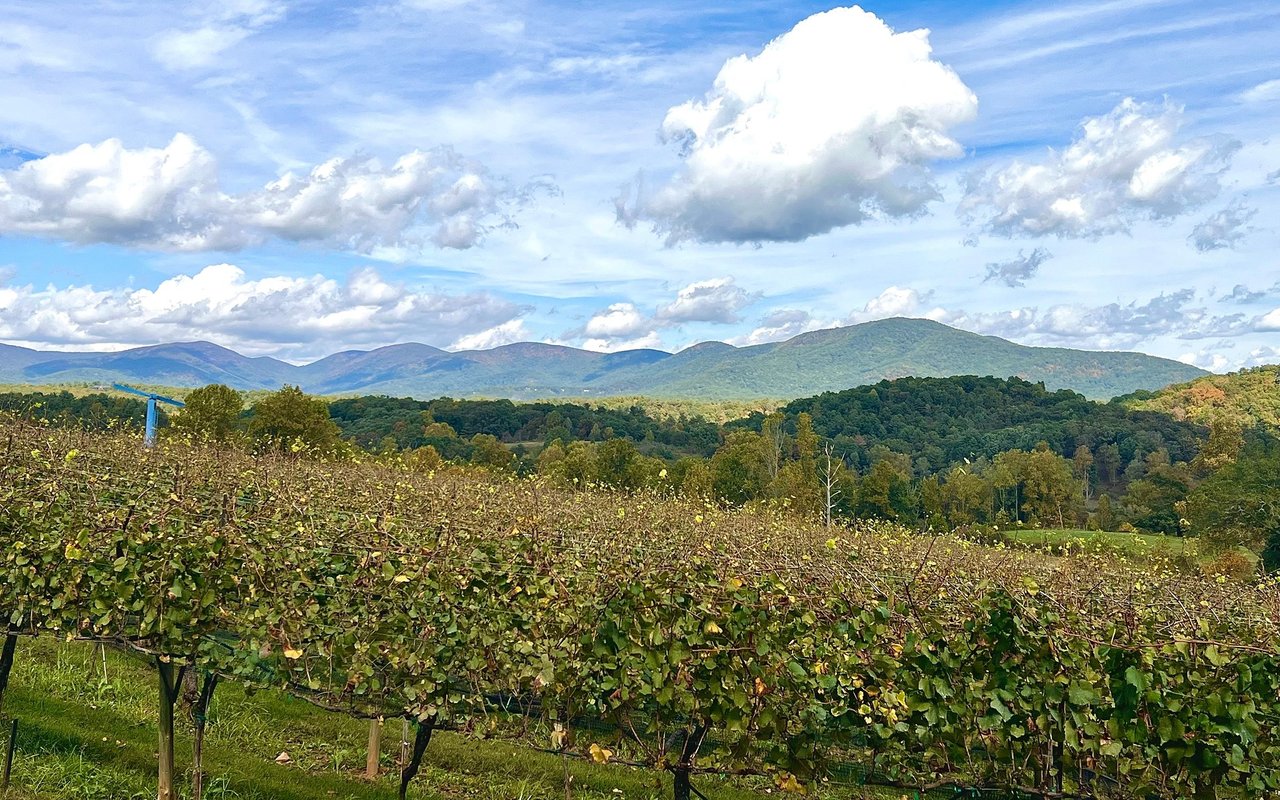 Dahlonega