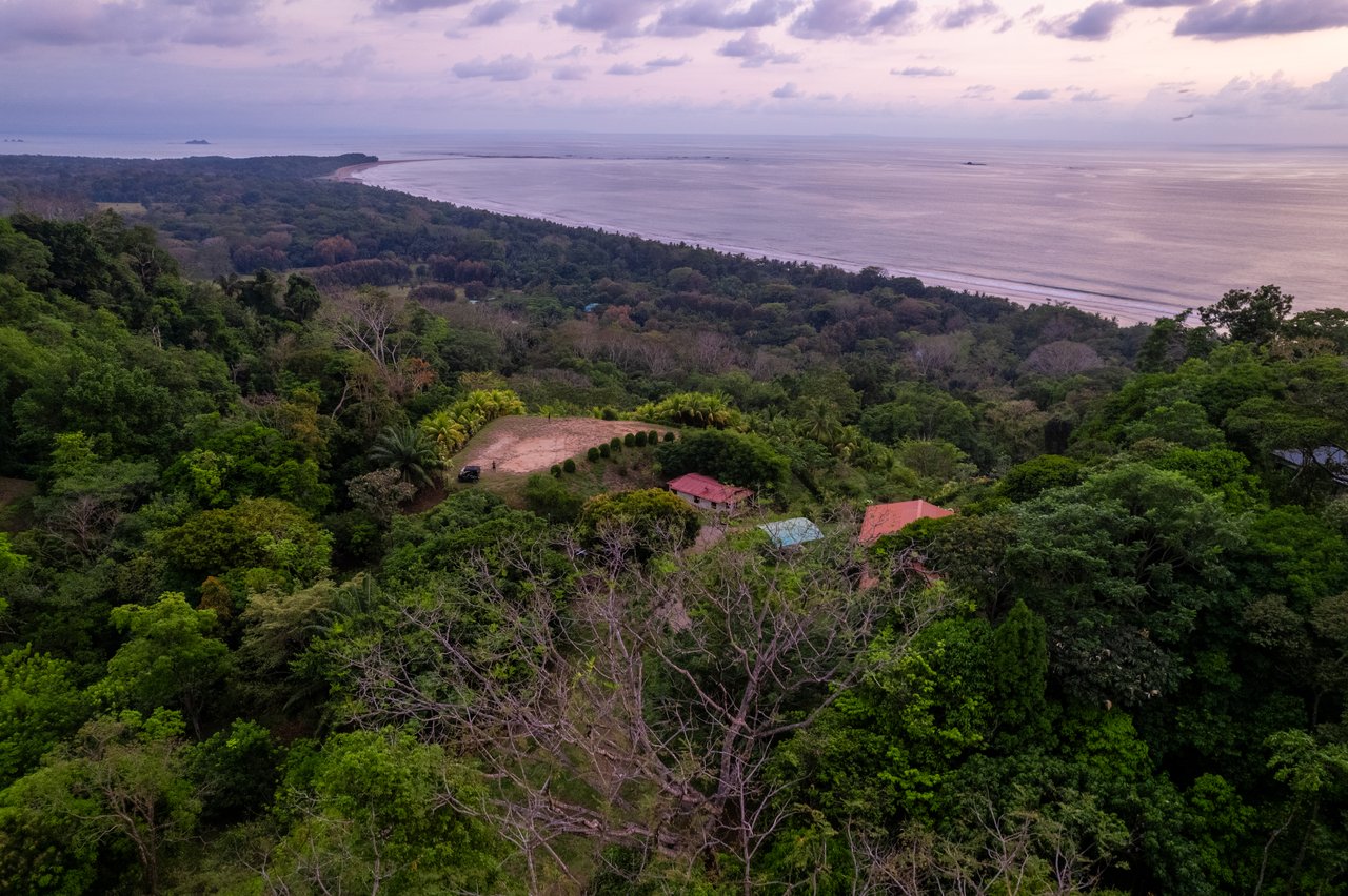 Ultra-Luxury Coastal Estate with Iconic Whale’s Tail Views