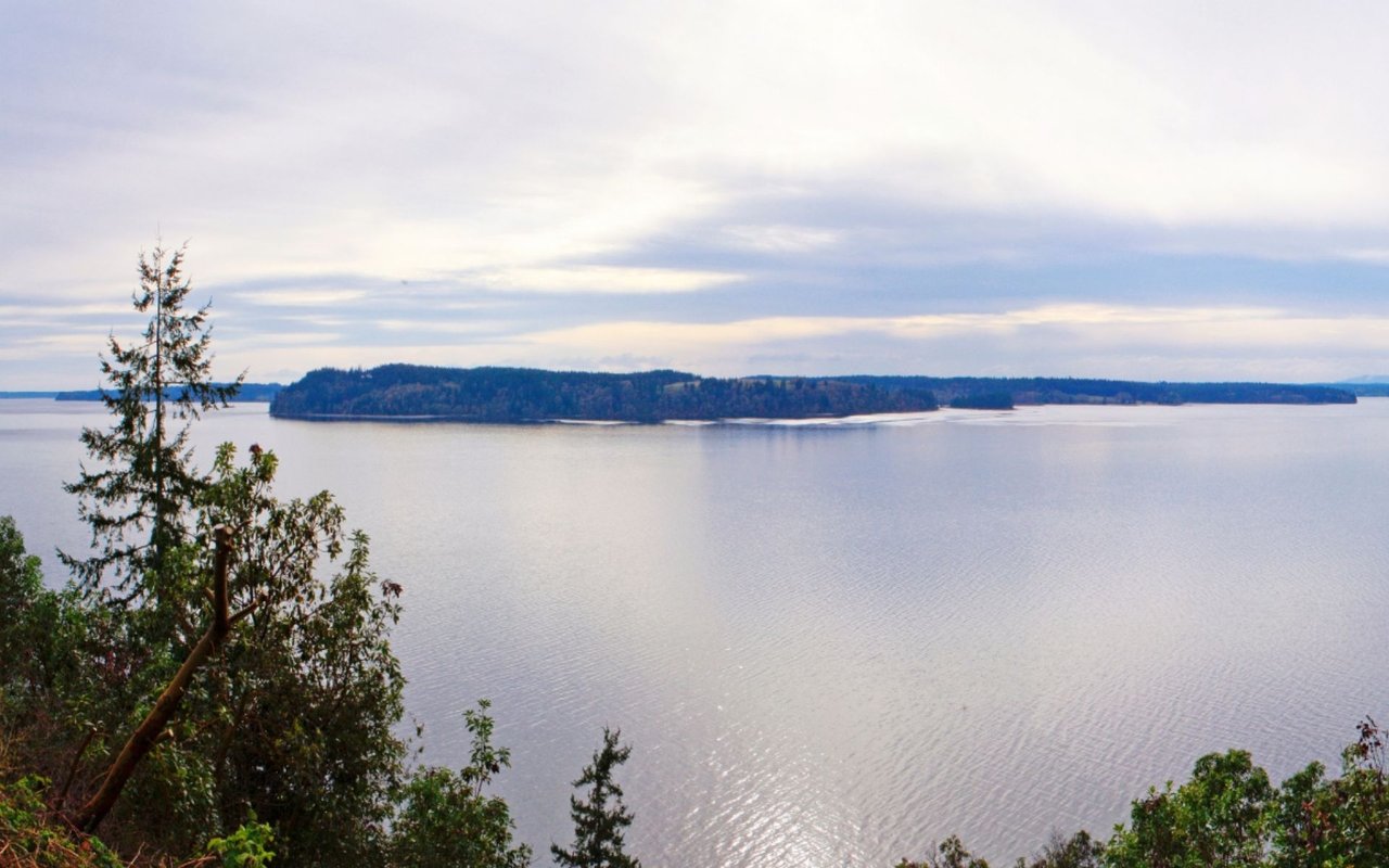 Fox Island