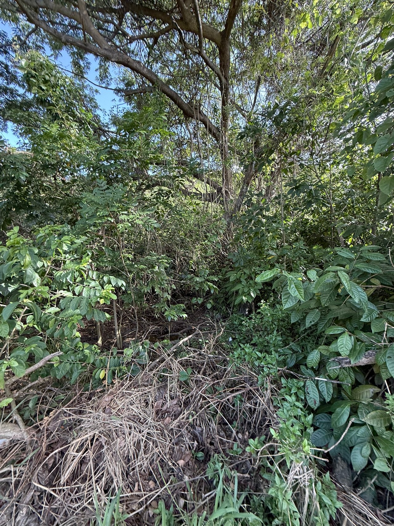 1081 Josiah's Bay 1 Acre Land