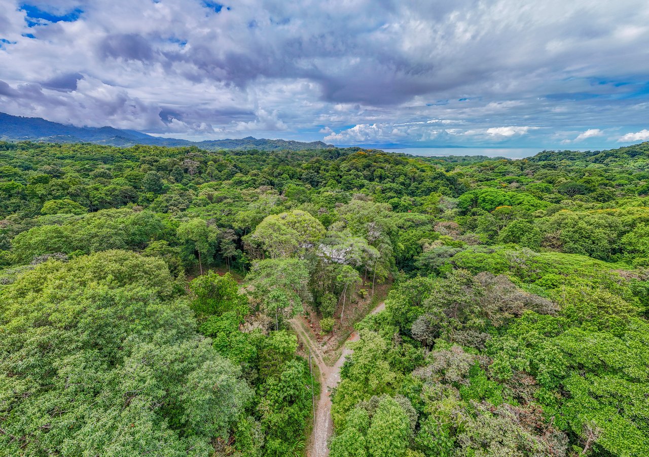 Modern 3-Bed Jungle Home with River and Pool in Cinco Ventanas Ojochal