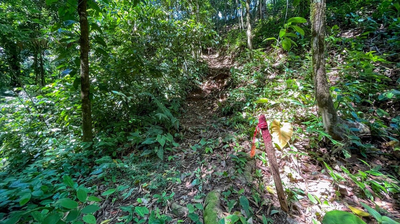 1.3-Acre Mountain View Land with 3 Building Sites in Uvita