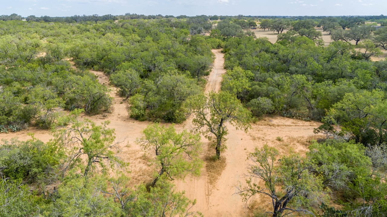 Oaks, Wildlife, & the Quiet of the Countryside | 26.99± Acres | Poteet, TX