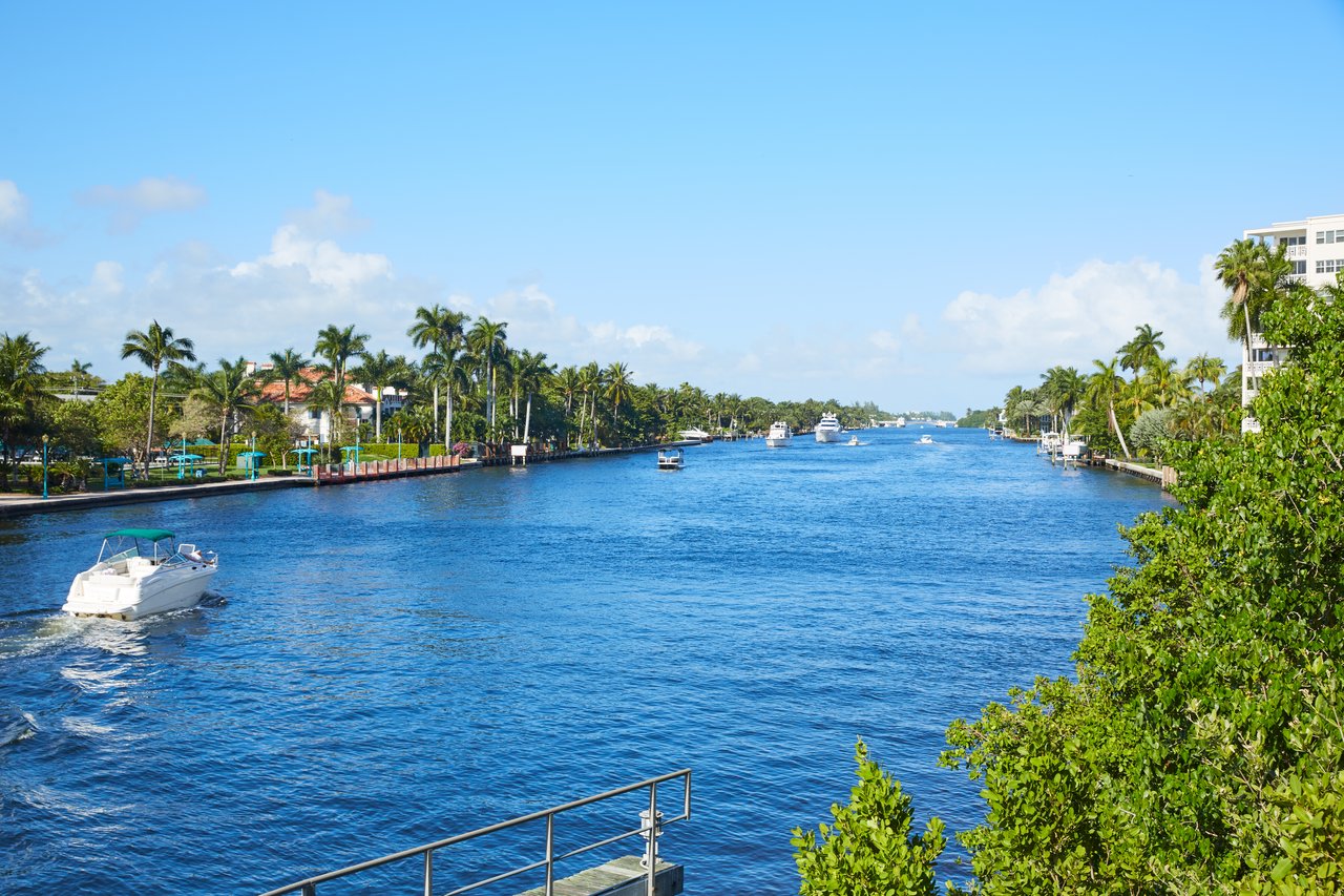 Waterfront canal lined with palm trees and homes, with boats under a clear blue sky.