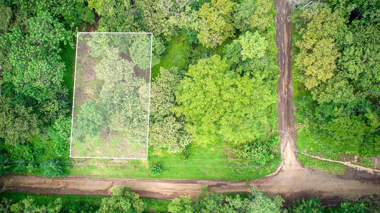 Prime Lot on Public Road | Ready for Construction in Playa Avellanas