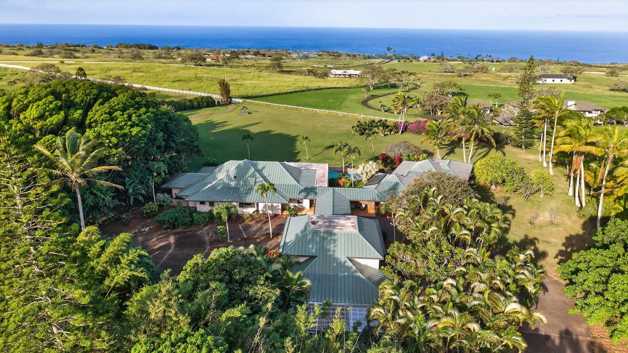 Aerial view of a tropical home with green roofs, palm trees, and ocean beyond.