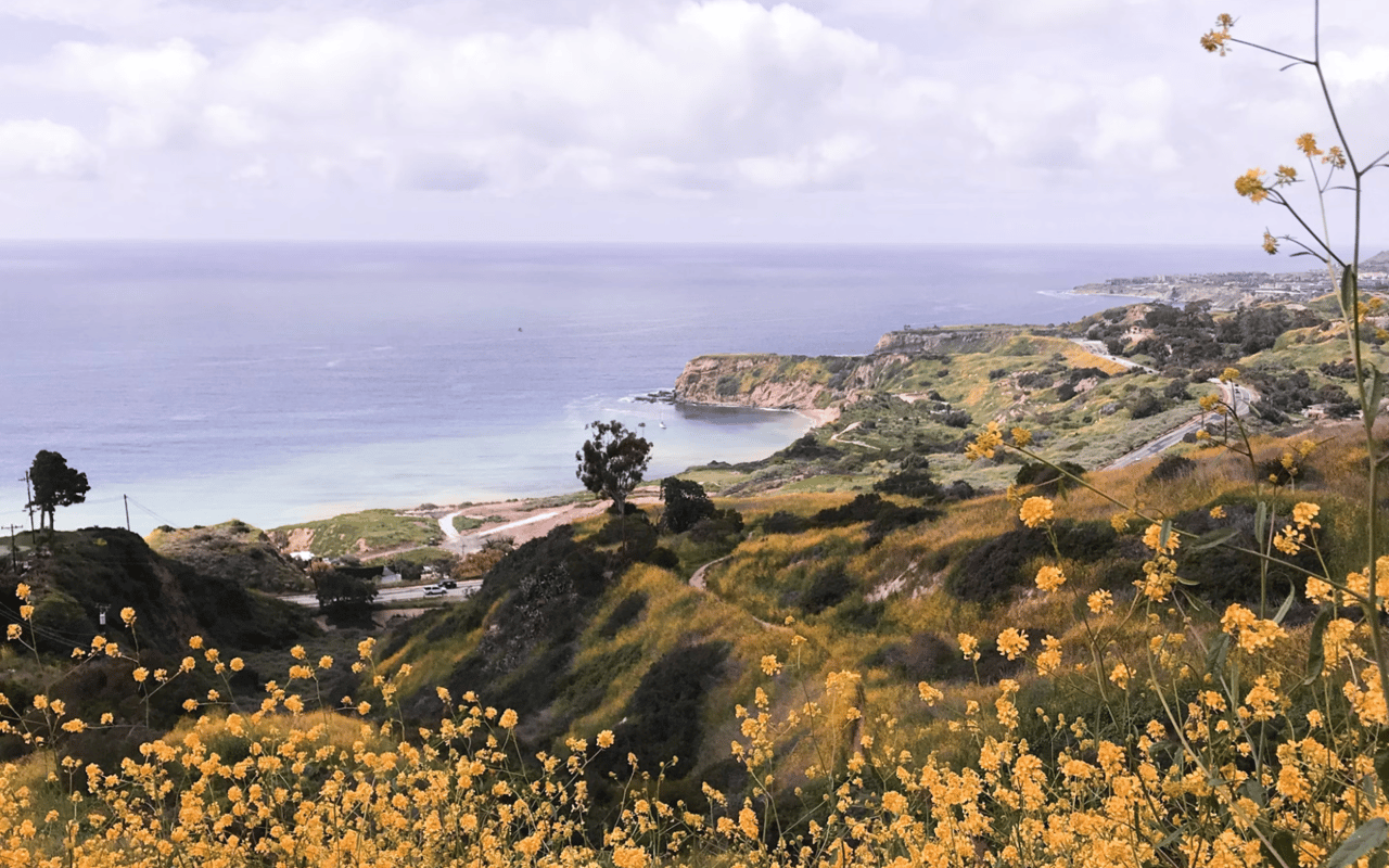 The Top Attractions in Palos Verdes, CA, For Locals or Tourists