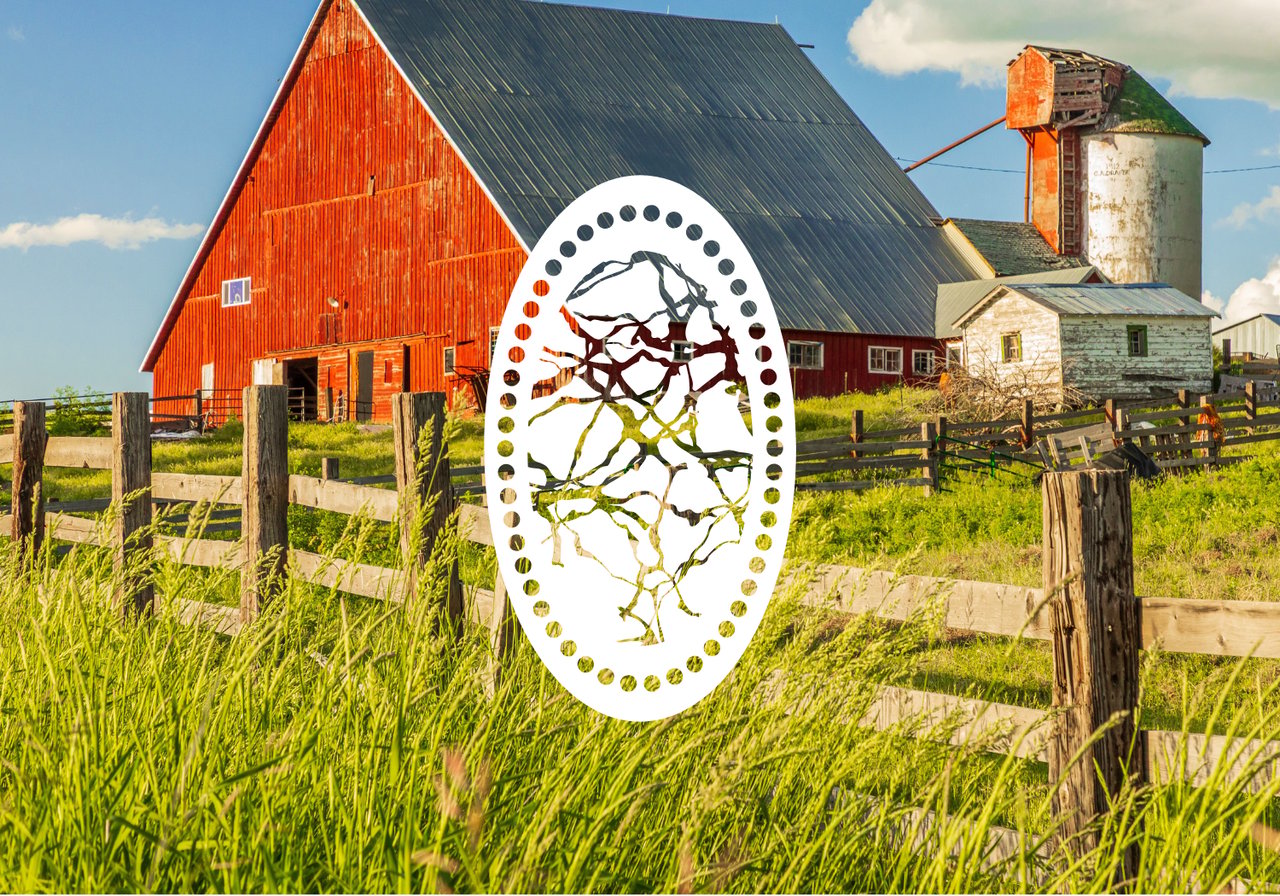 The Greenbank Lifestyle: Rural Beauty on Whidbey Island