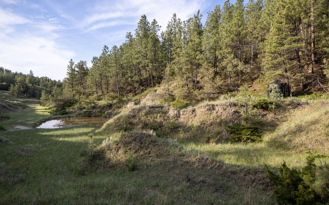 Elk Rich Ranch