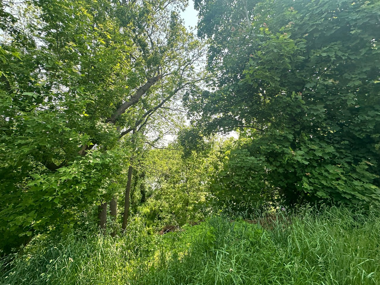 489 Caithness Street E