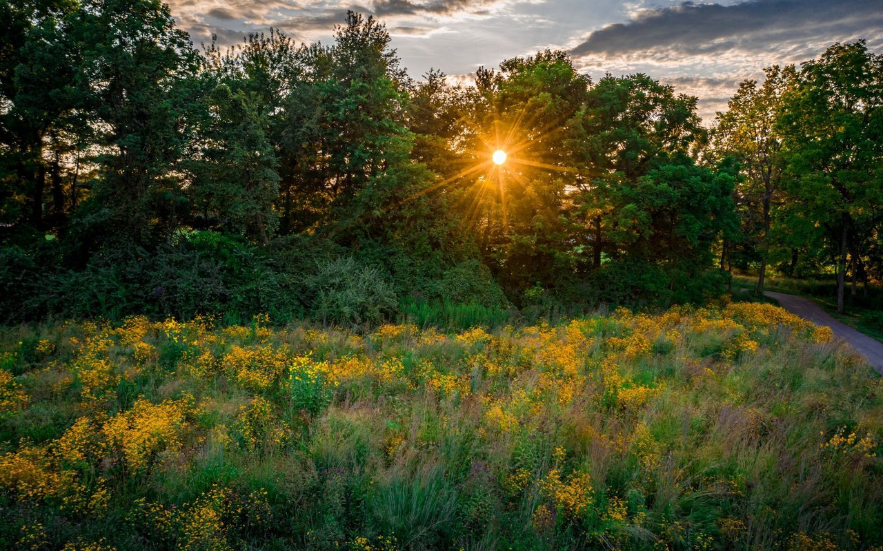 Centerville