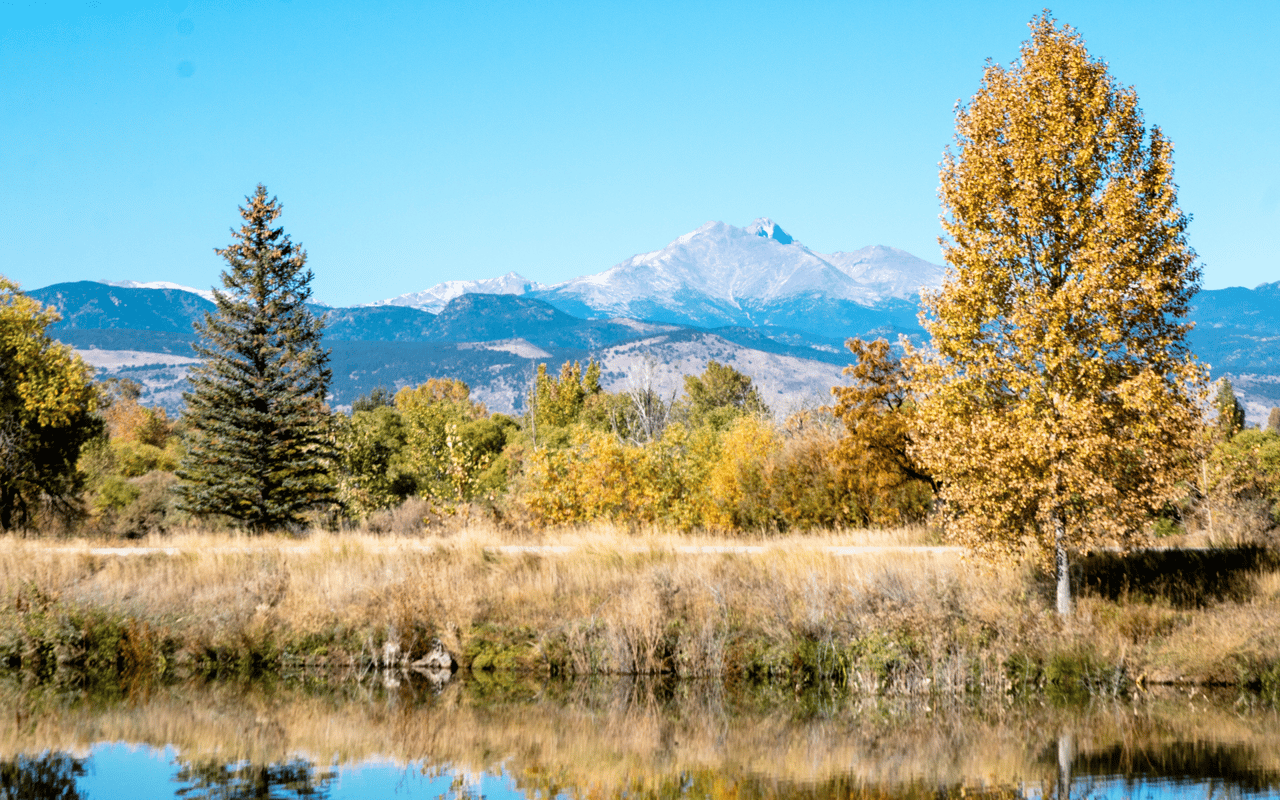 Longmont