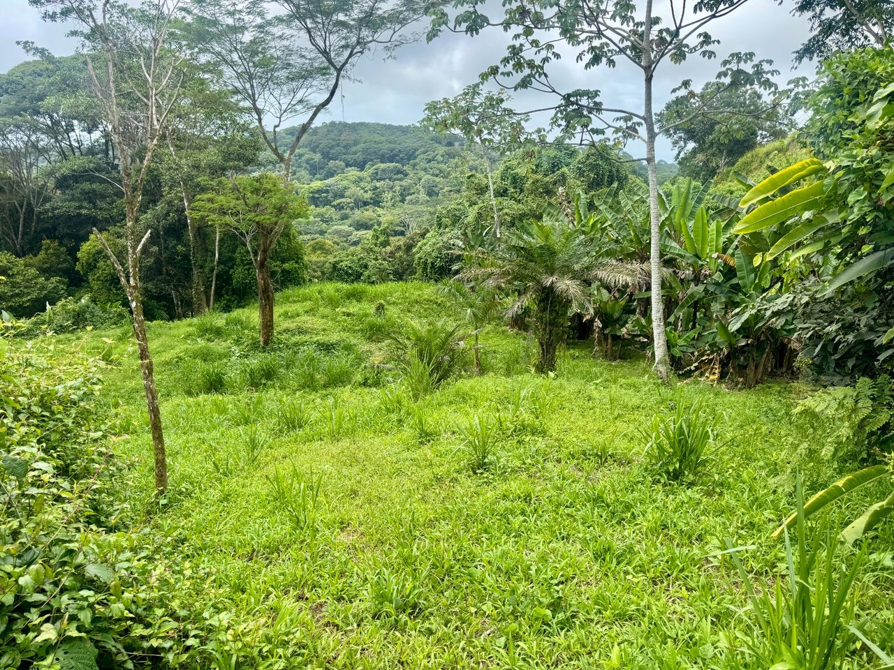 3 ACRES – Beautiful Mountain View Property, Small Ocean Window, Public Road Frontage, Multiple Building Sites, Many Fruit Trees!!!!