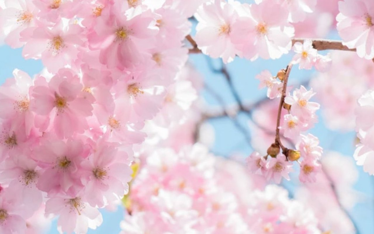 What Will the Real Estate Market in Spring of 2018 Be Like?