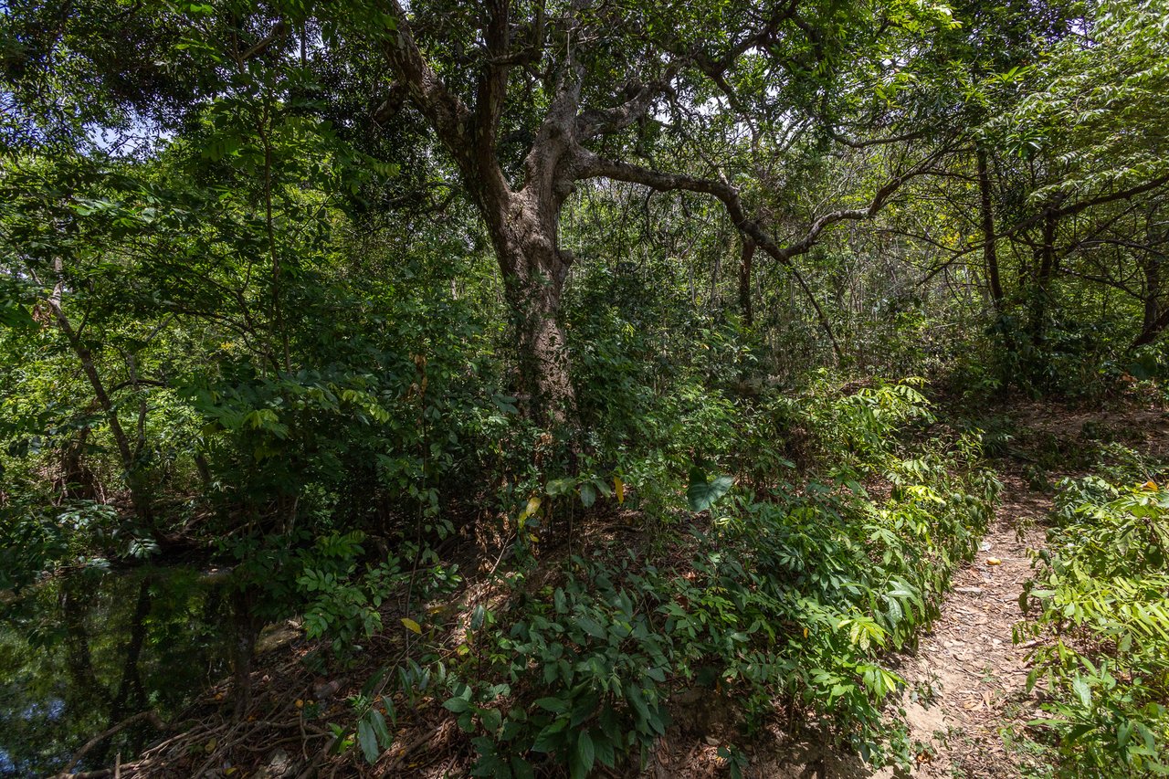 2.27 Acres close to Main Rd, Dixon Cove