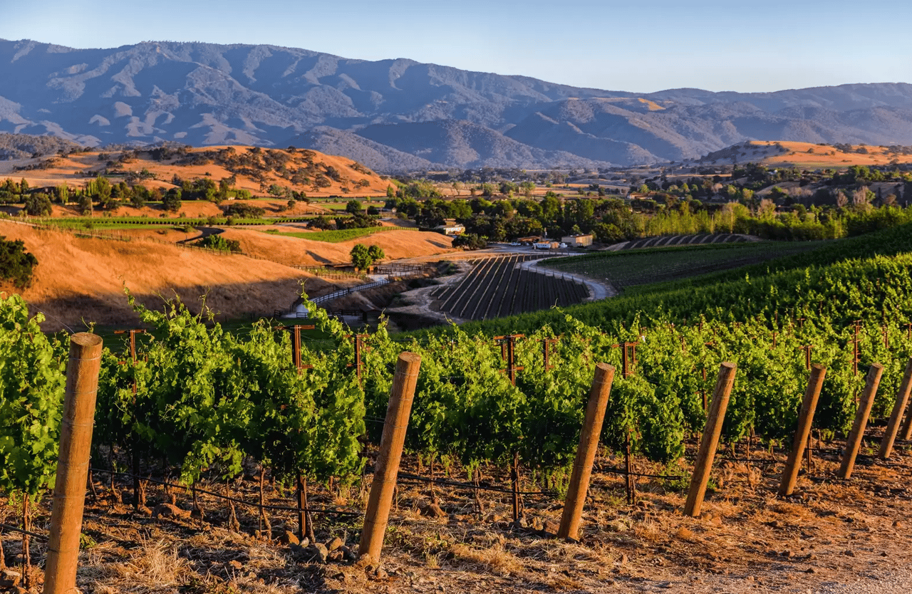 Happy Canyon of Santa Barbara: the wine country compared to Napa