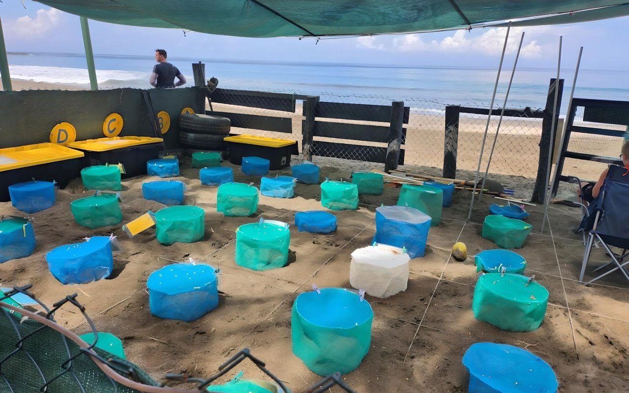 Playa Junquillal