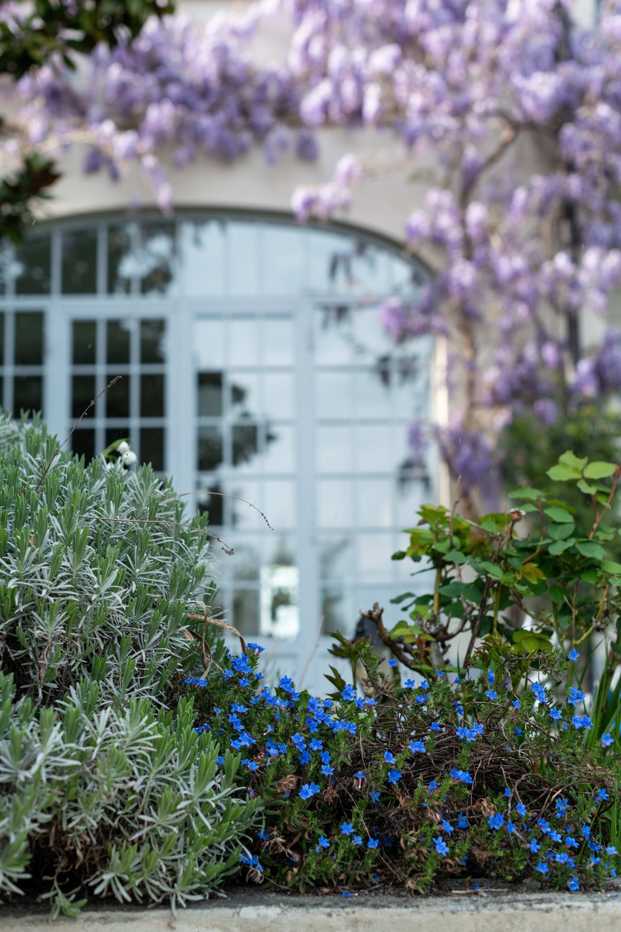 SoCal Gardens Need and Deserve Unique Attention