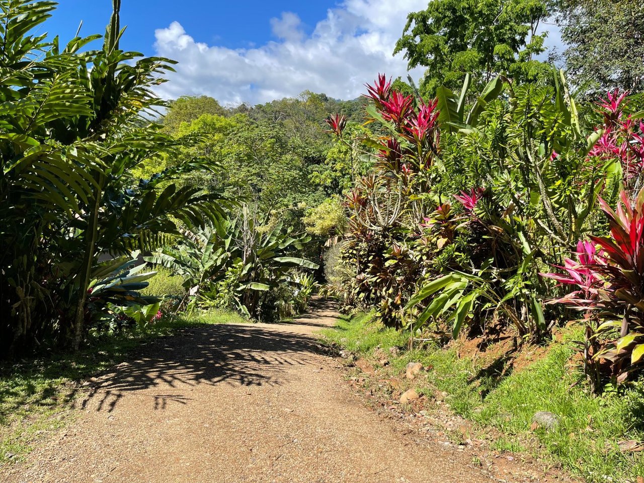 Riverfront Guest House Estate, Uvita, Puntarenas