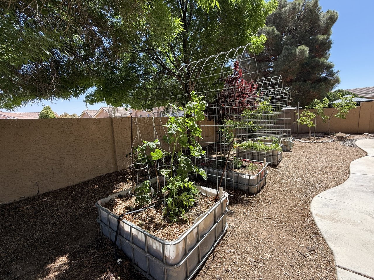 Editable Front Yard Landscaping in Kingman AZ