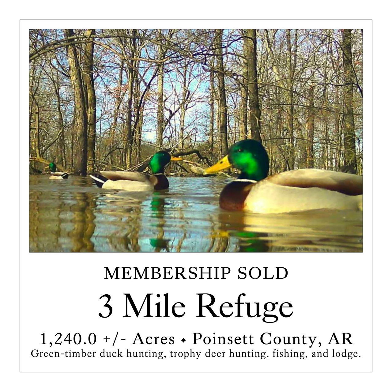 Three Mile Refuge