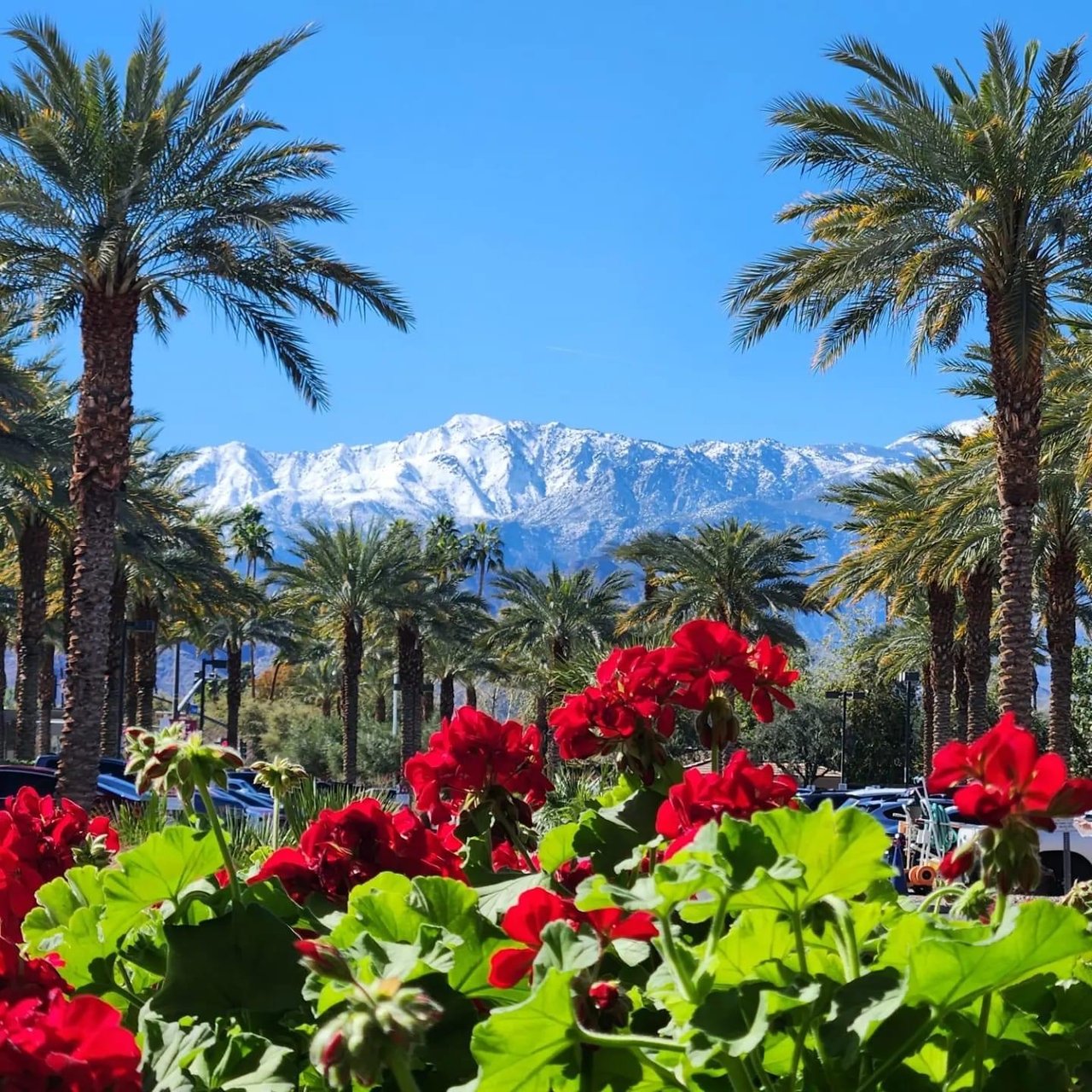 Coachella Valley Real Estate Market Update | March 2026