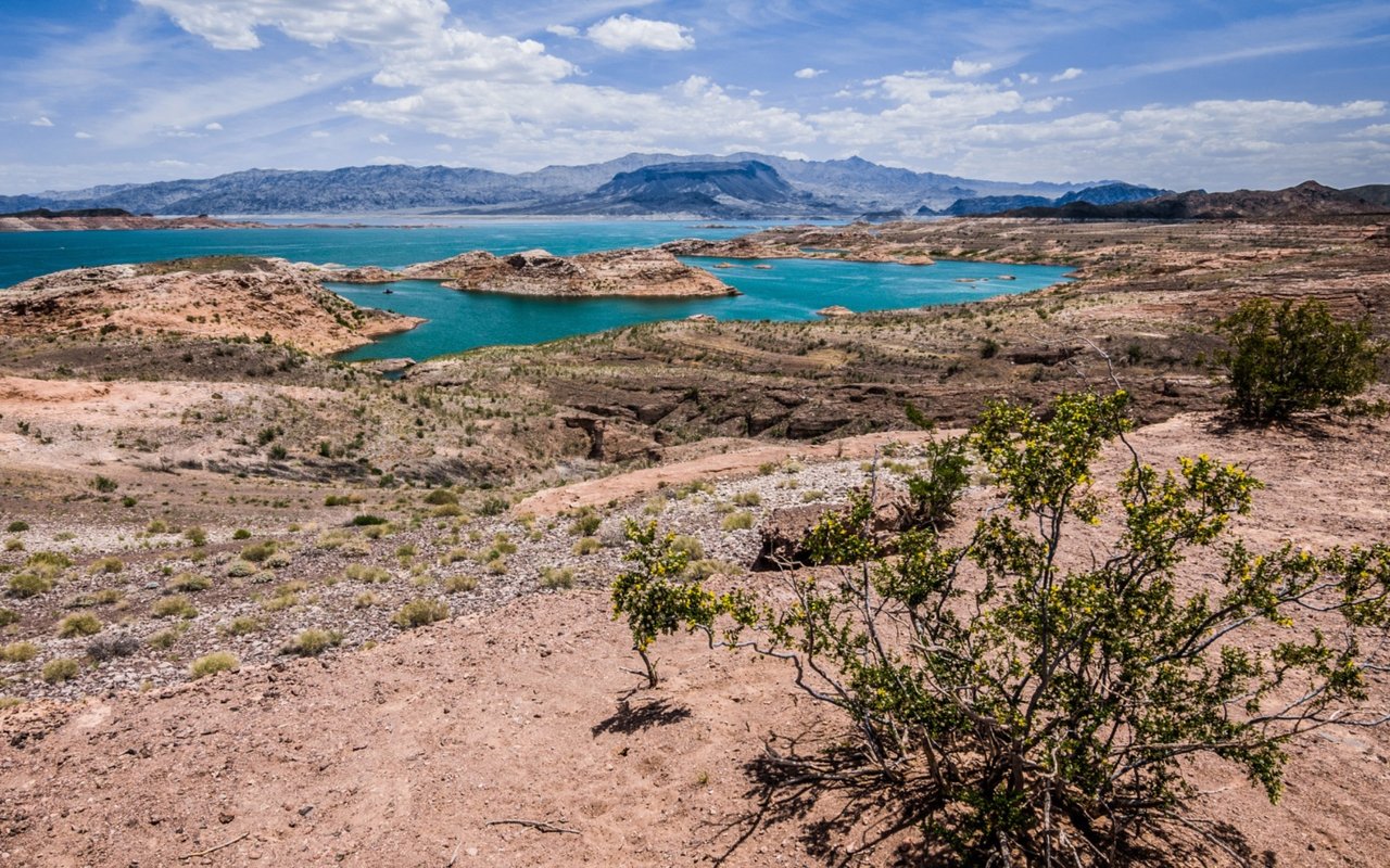 Top 4 Things To Do Lakeside at Lake Mead