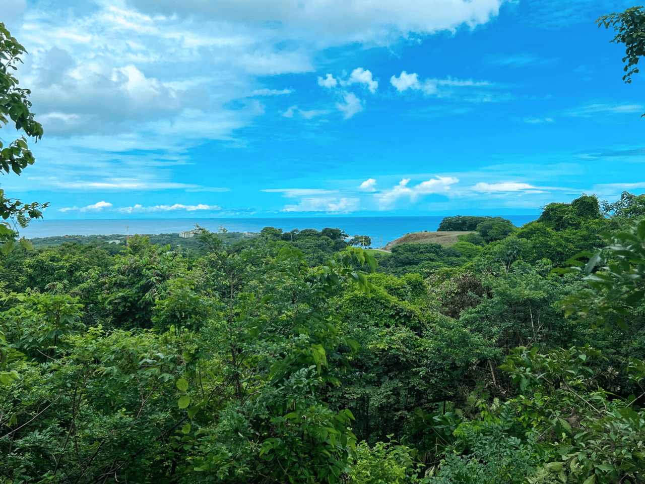 Jungle Vista Retreat - Modern Tropical Hideaway - Senderos