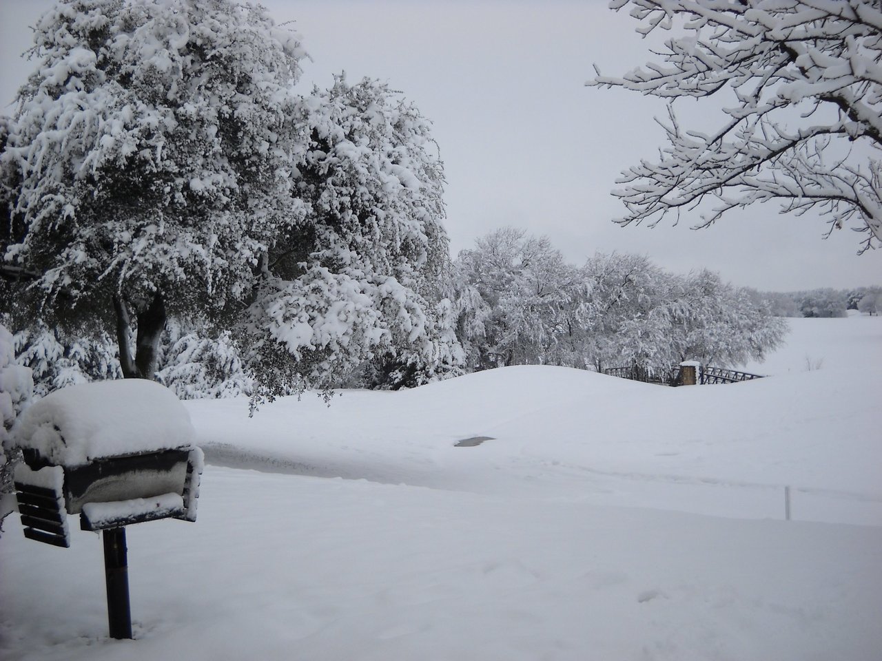 Navigating Winter Weather in Texas