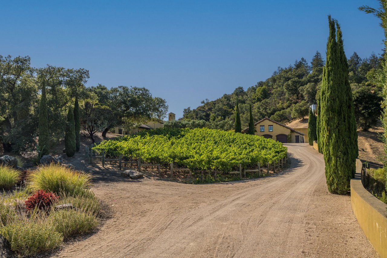 Oakville Vineyard Estate