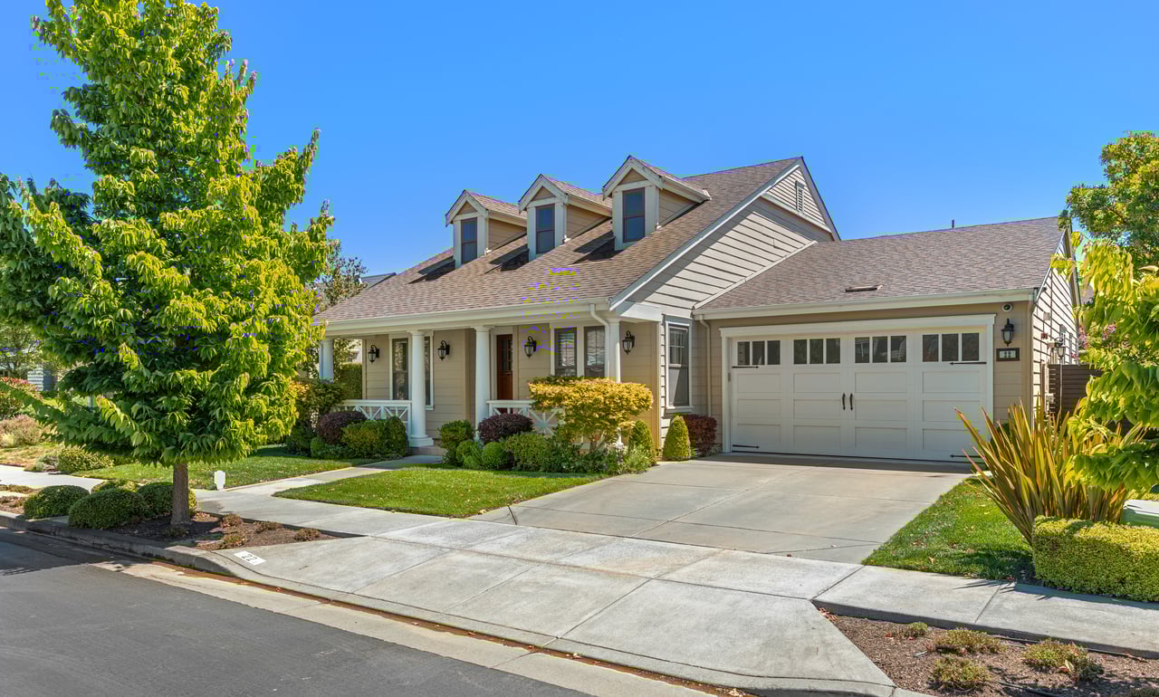 Desirable 'Rose Lane'