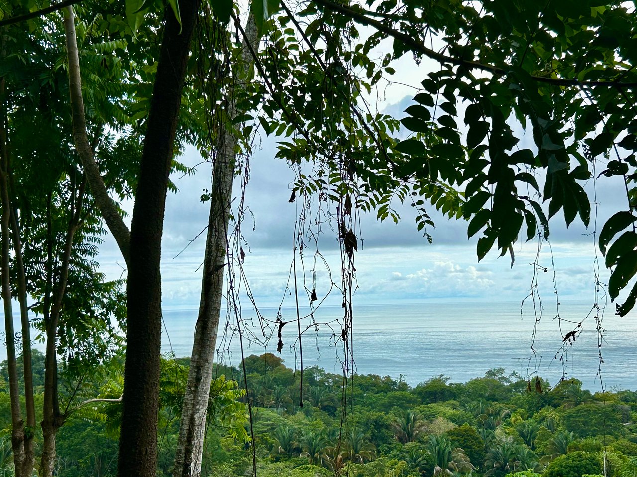 Ocean View Property in Playa Hermosa - Over 1 Acre