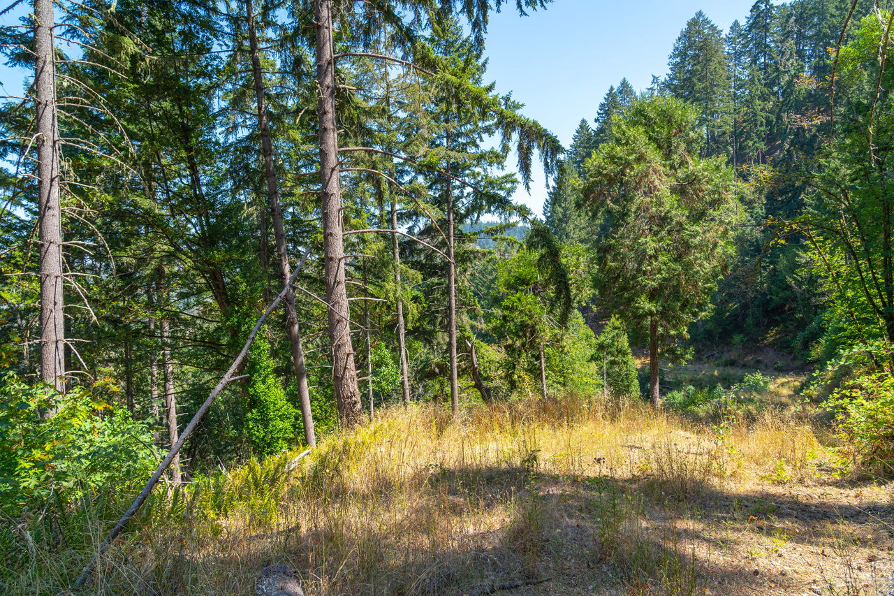 STRICKLAND BOULDER FOREST