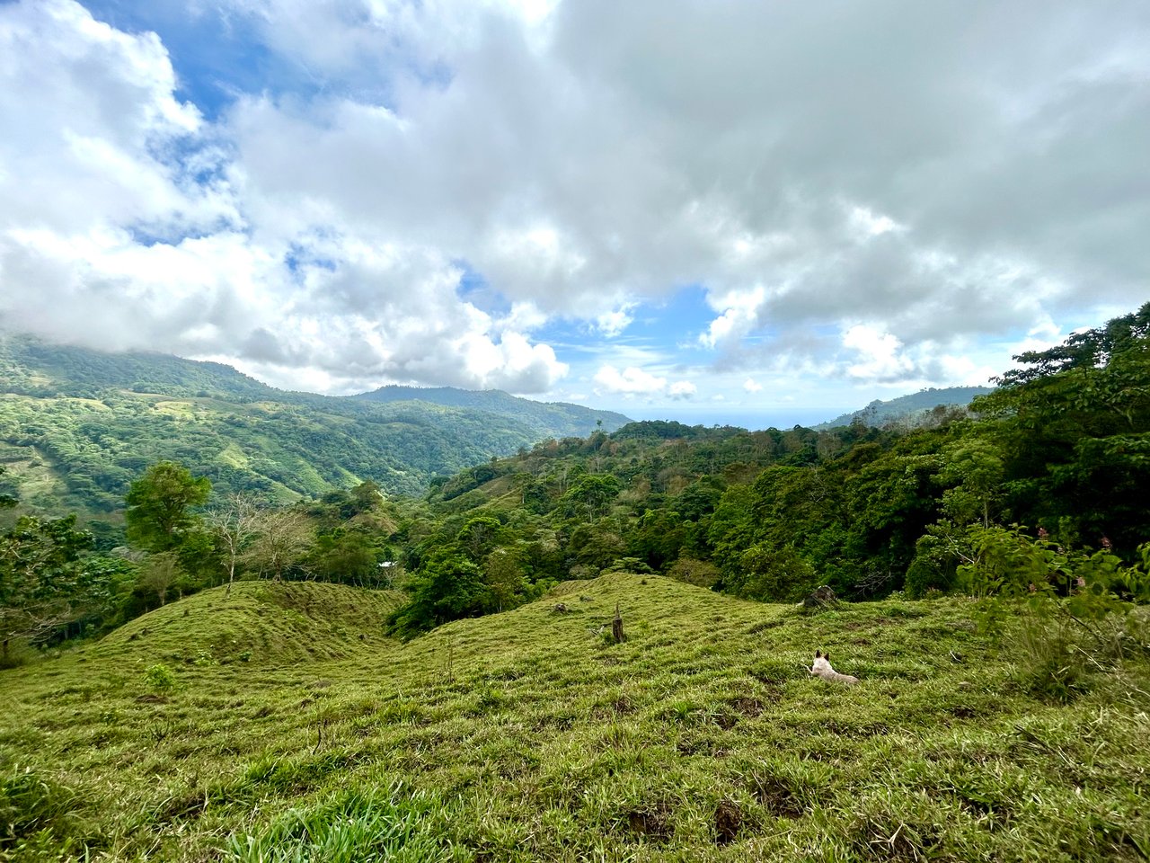 Gorgeous Land in San Luis Morete - Uvita - Over 17 Acres