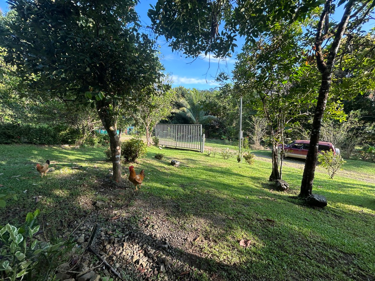 Commercial & Residential Property in Punta Mala with Producing Fruit Trees