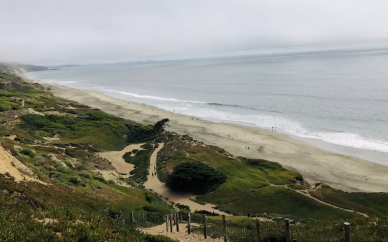 Lakeshore Neighborhood in San Francisco: A Comprehensive Guide for Families and Investors