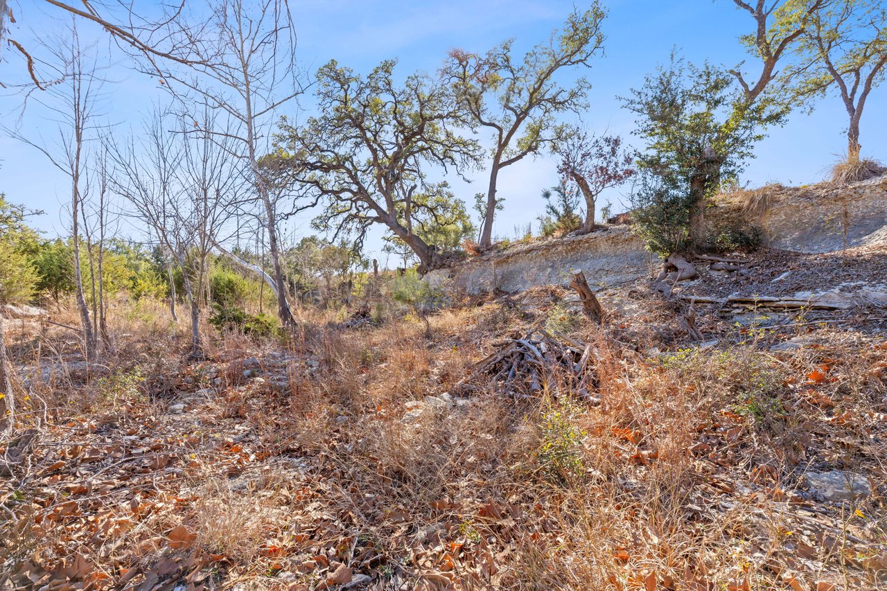 100 Dario Dr. Dripping Springs  Tx 78620