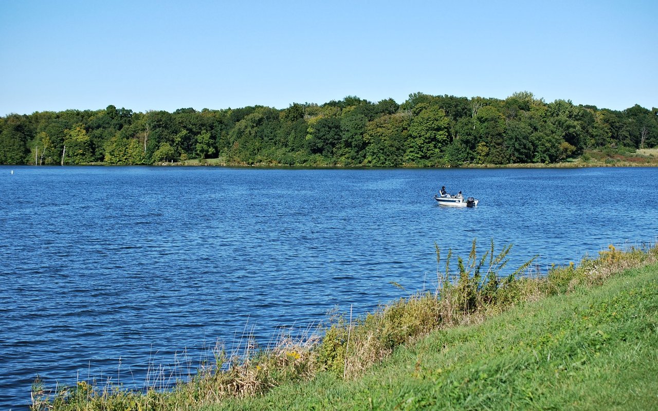 Lake Barrington with a small boat on blue water and a tree-lined shore.