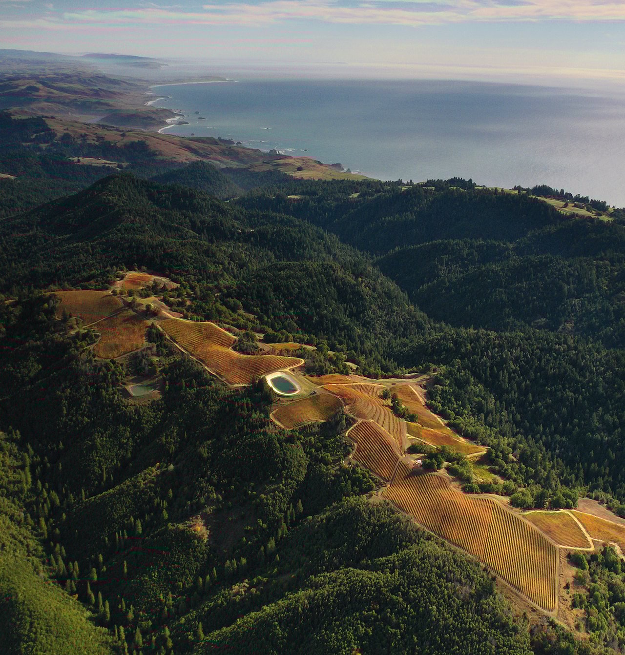 The Ultimate Guide to Exploring the Sonoma Coast on Highway 1