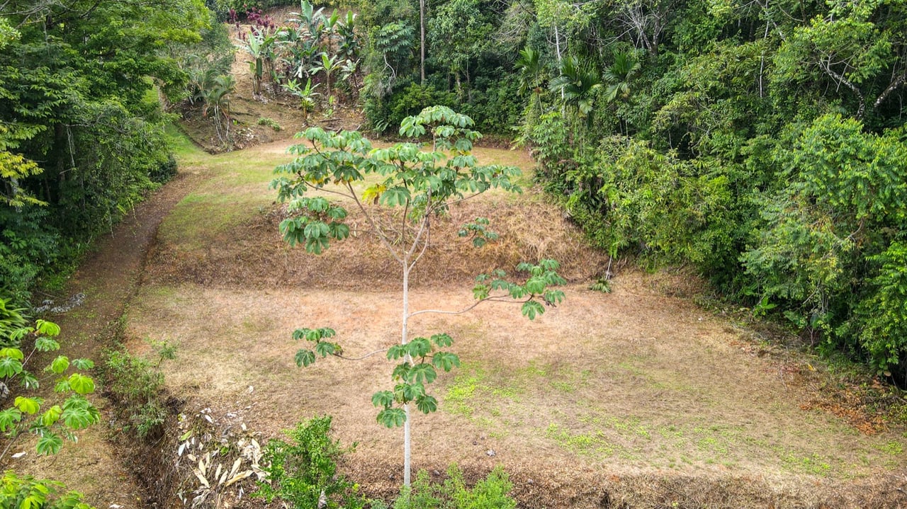 Scenic 2.53 Acres in Fila Cacao Ridge – Build-Ready Lot with Legal Water in Platanillo!