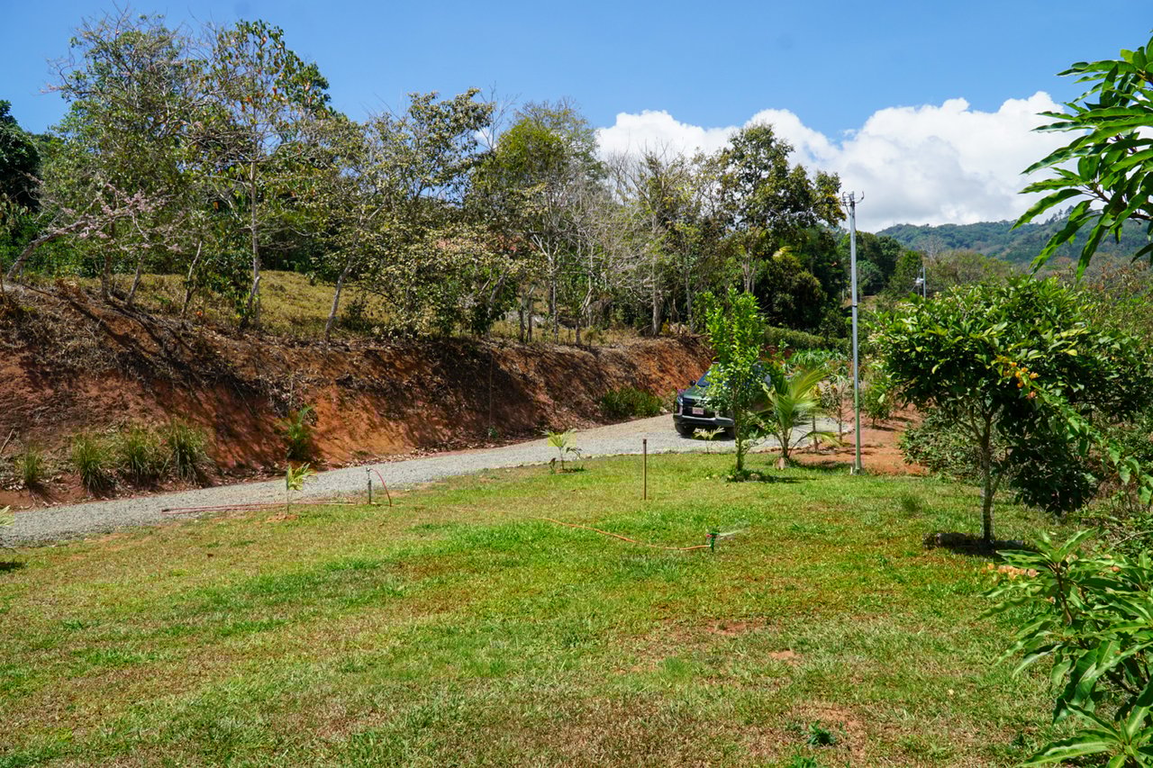 Serene Splendor - Discover Your Dream Home in Pacuar Perez Zeledon