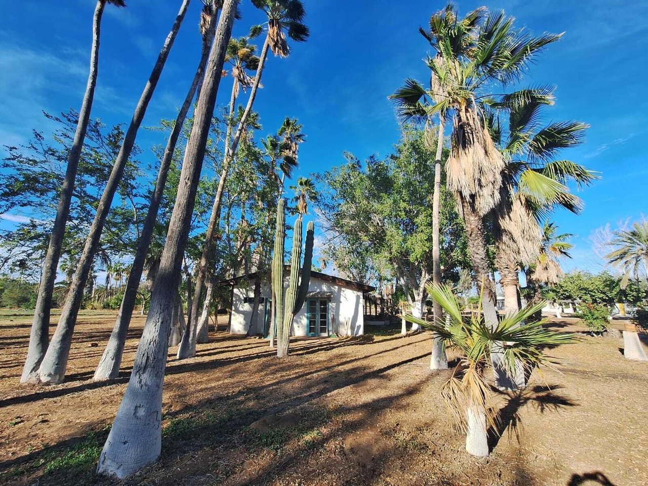 Compound Los Pinos
