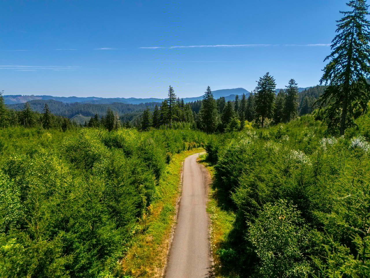 LINCOLN-HILLTOP TREEFARM Sealed Bid Offering 